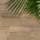 Sierbestrating-limburg-tuinvariant-Linea allure 30x20x6 cm + afst.h marmo mocca