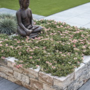 Sierbestrating-limburg-tuinvariant-Combiwall Splitton 50x20x7.5 cm Kilimanjaro